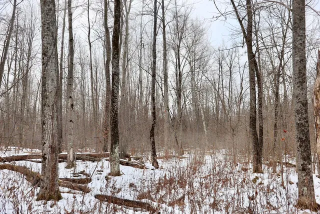 $115,000 | West Dana Road, Coleman, MI 48618