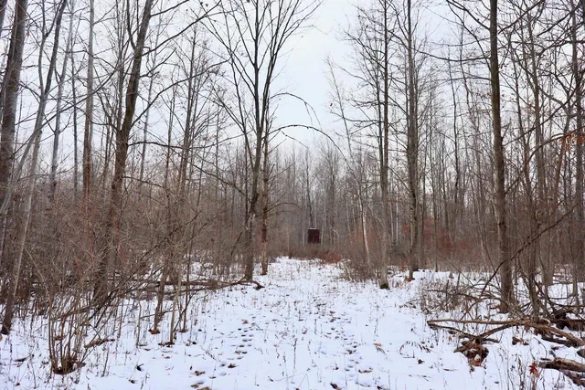 $115,000 | West Dana Road, Coleman, MI 48618