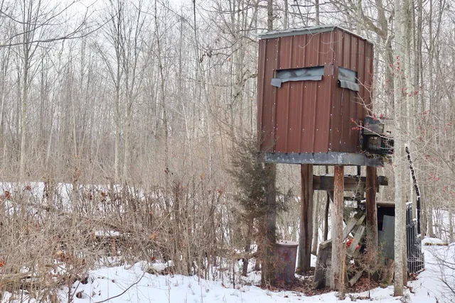 $115,000 | West Dana Road, Coleman, MI 48618