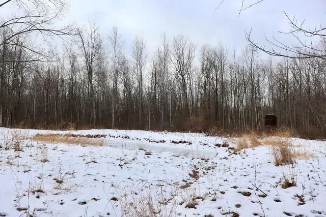 $115,000 | West Dana Road, Coleman, MI 48618