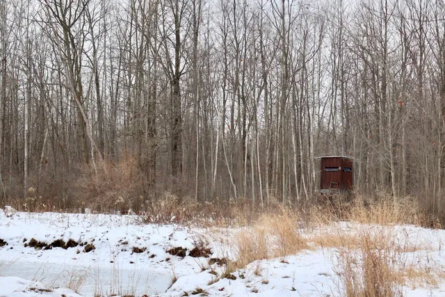 $115,000 | West Dana Road, Coleman, MI 48618