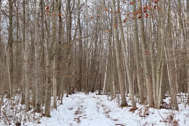 $115,000 | West Dana Road, Coleman, MI 48618