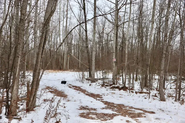 $115,000 | West Dana Road, Coleman, MI 48618