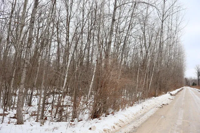 $115,000 | West Dana Road, Coleman, MI 48618