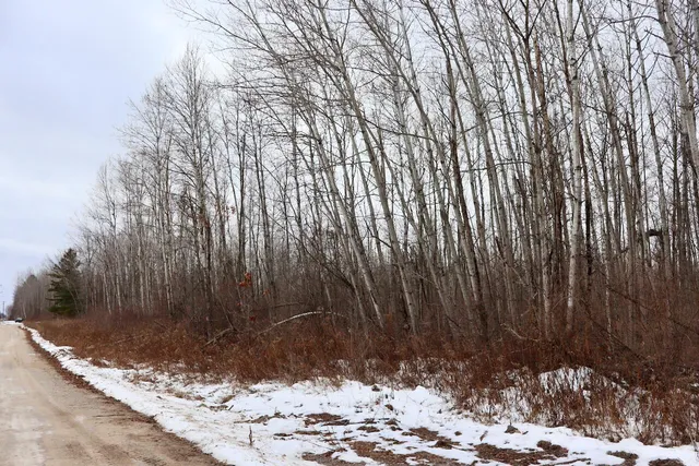 $115,000 | West Dana Road, Coleman, MI 48618