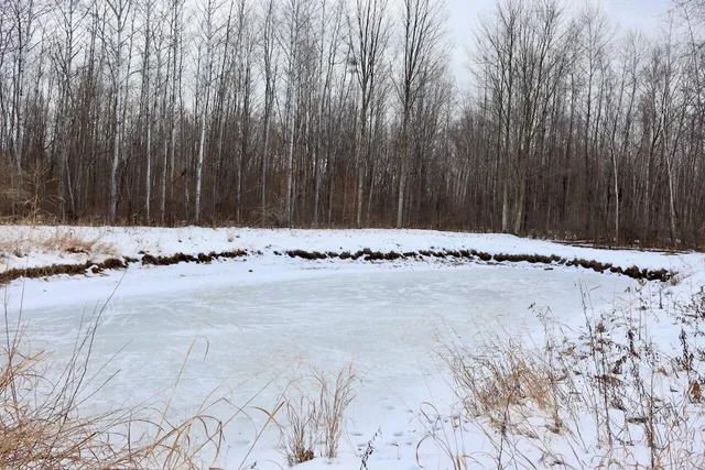 $115,000 | West Dana Road, Coleman, MI 48618