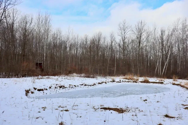 $115,000 | West Dana Road, Coleman, MI 48618