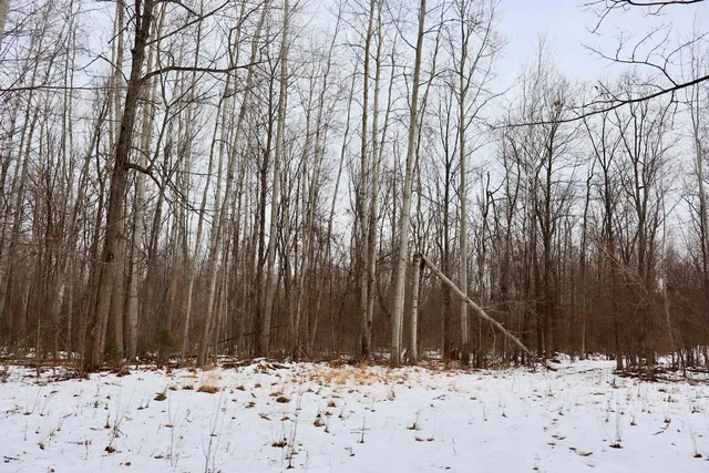 $115,000 | West Dana Road, Coleman, MI 48618