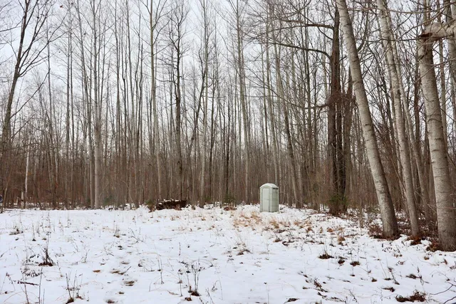 $115,000 | West Dana Road, Coleman, MI 48618