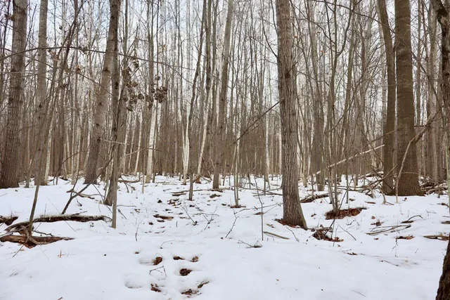 $115,000 | West Dana Road, Coleman, MI 48618