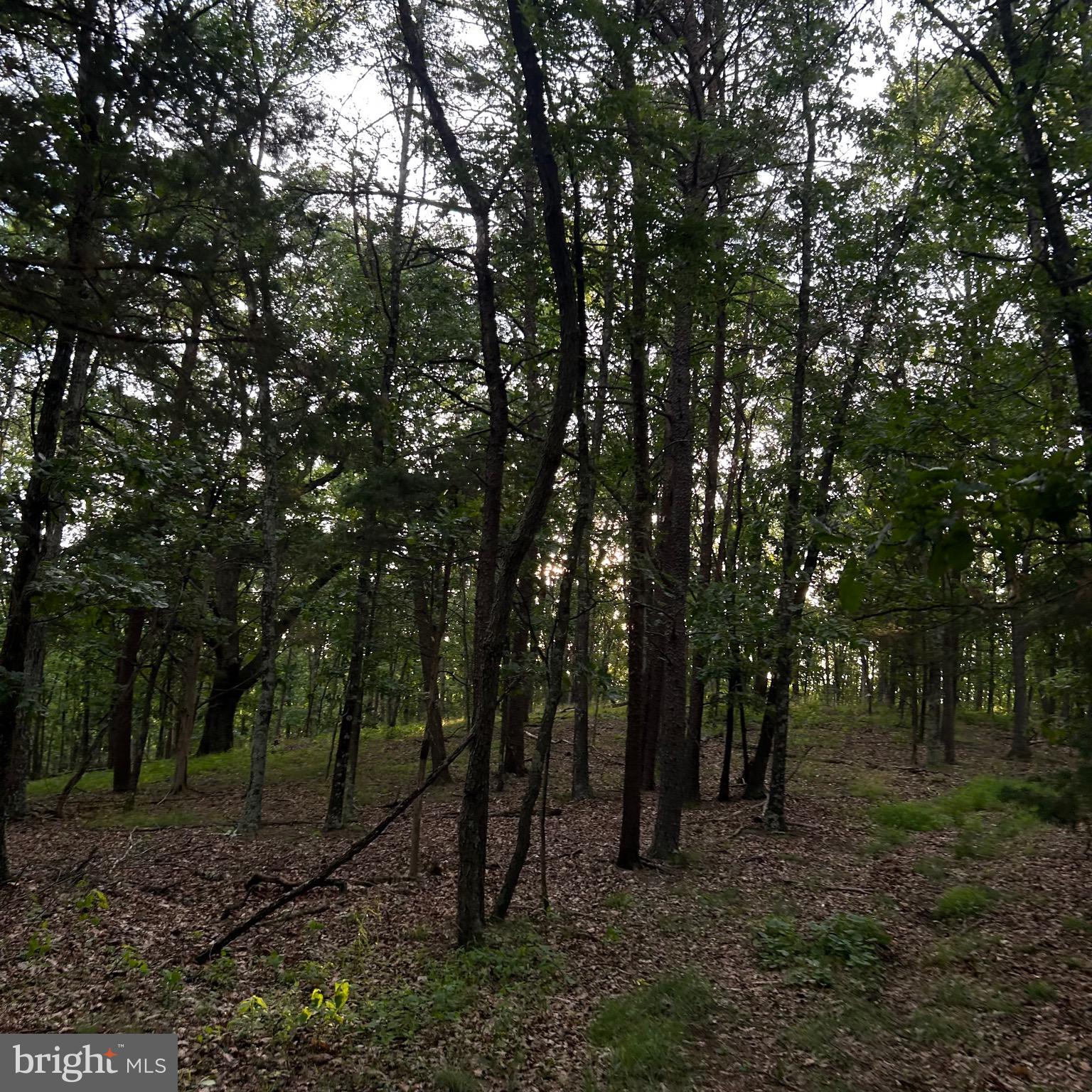 0 Headsville Road Keyser, WV 26726 - Photo 22 of 46