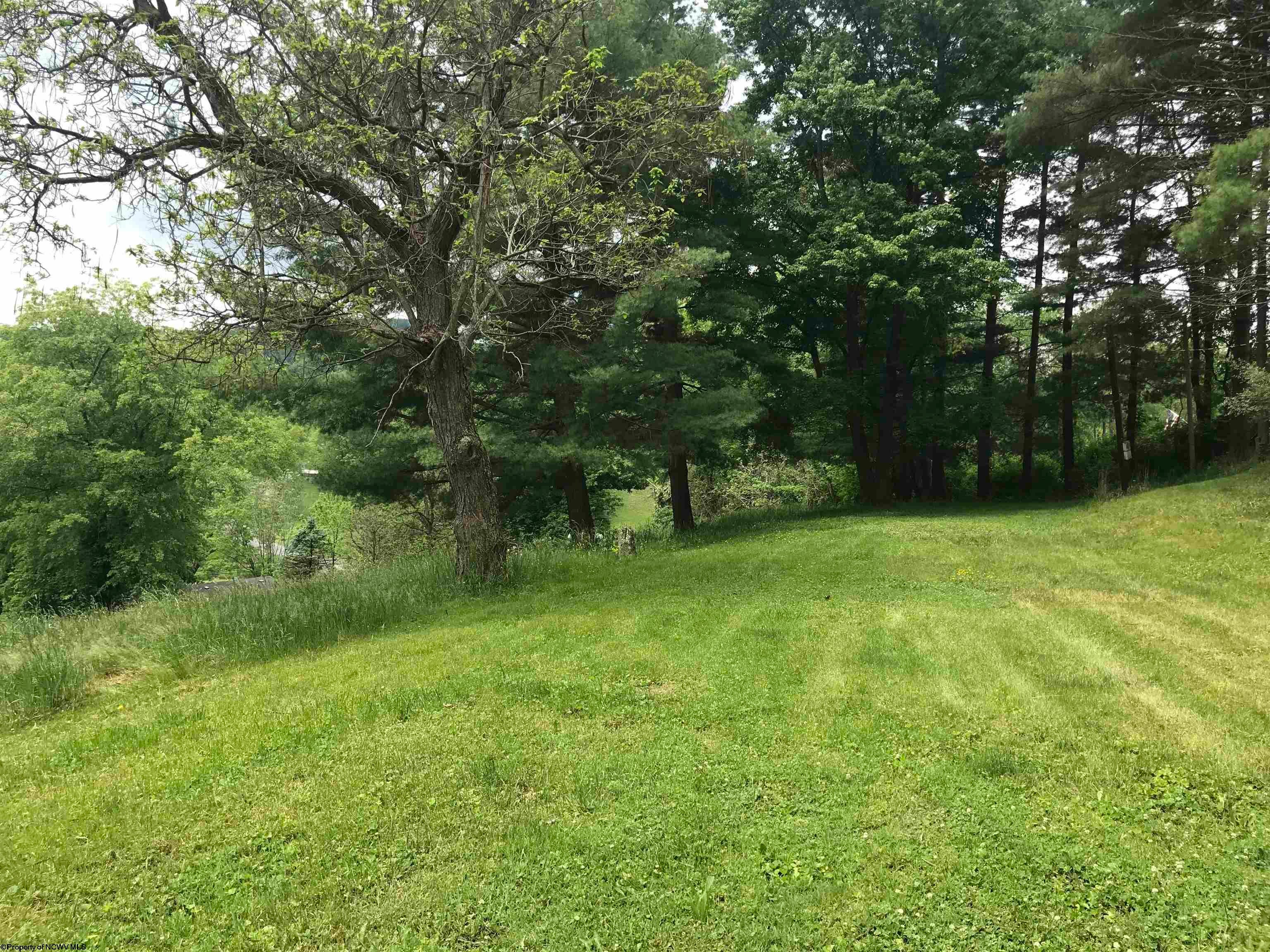 45 Robinson Run Road Maidsville, WV 26541 - Photo 14 of 17 Gallery Image 14