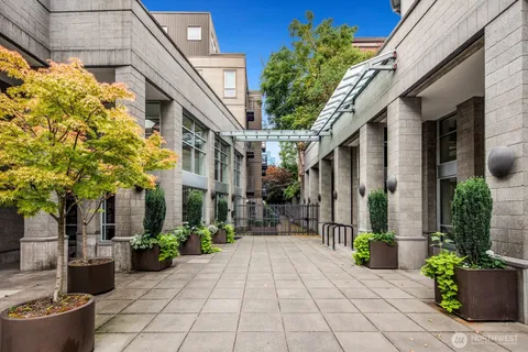 a view of a pathway with a potted plants