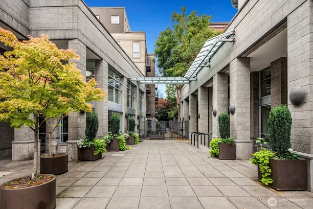 a view of a pathway with a potted plants