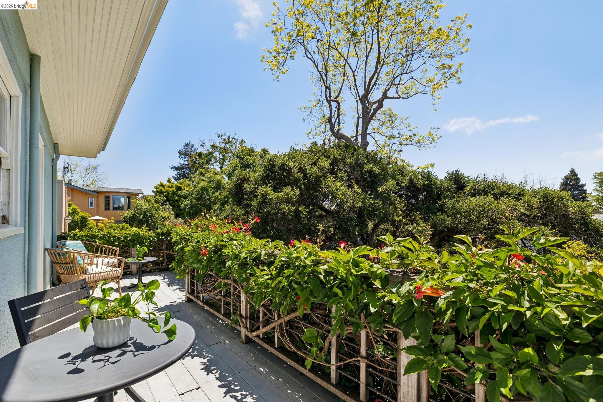 664 Vincente Avenue Berkeley, CA 94707 - Photo 25 of 54