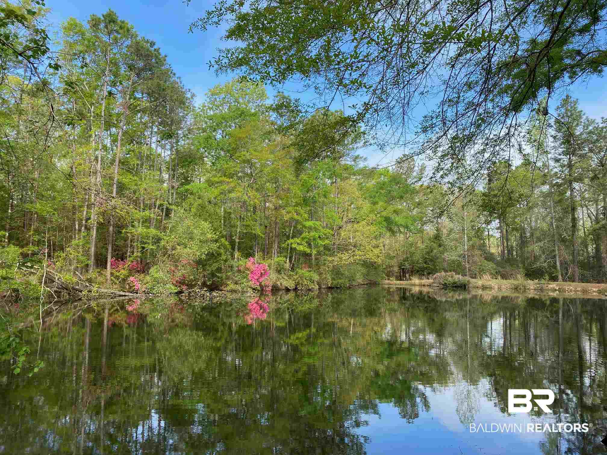 1069 Cemetery Road Range, AL 36473 - Photo 2 of 26