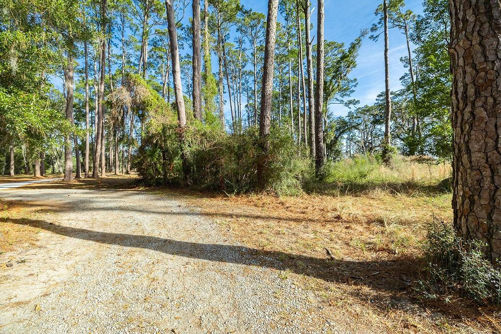 0 Oak Bluff Road Southeast McRae-Helena, GA 31037 - Photo 15 of 47