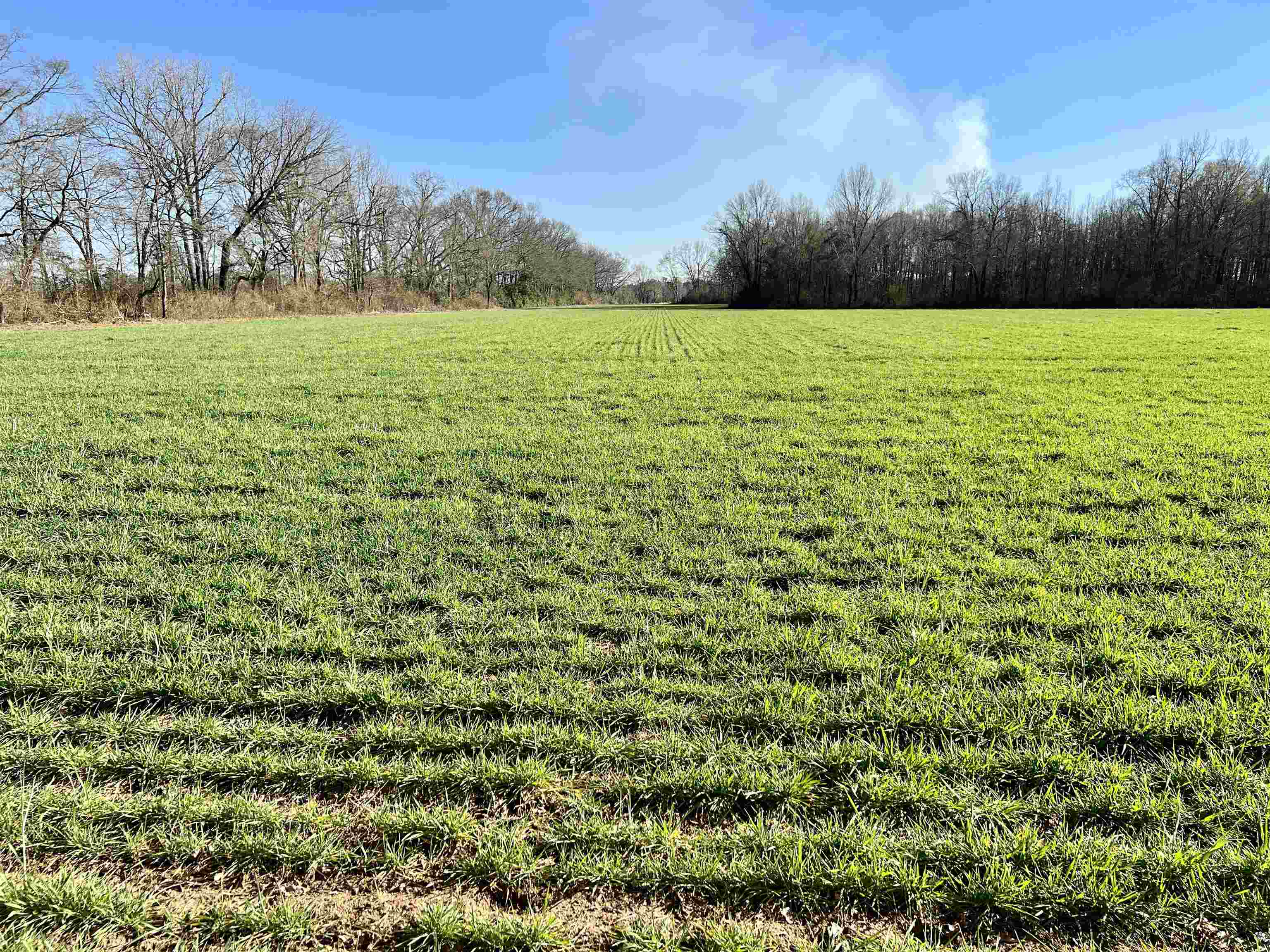 0 Country Road Atmore, AL 36502 - Photo 16 of 27