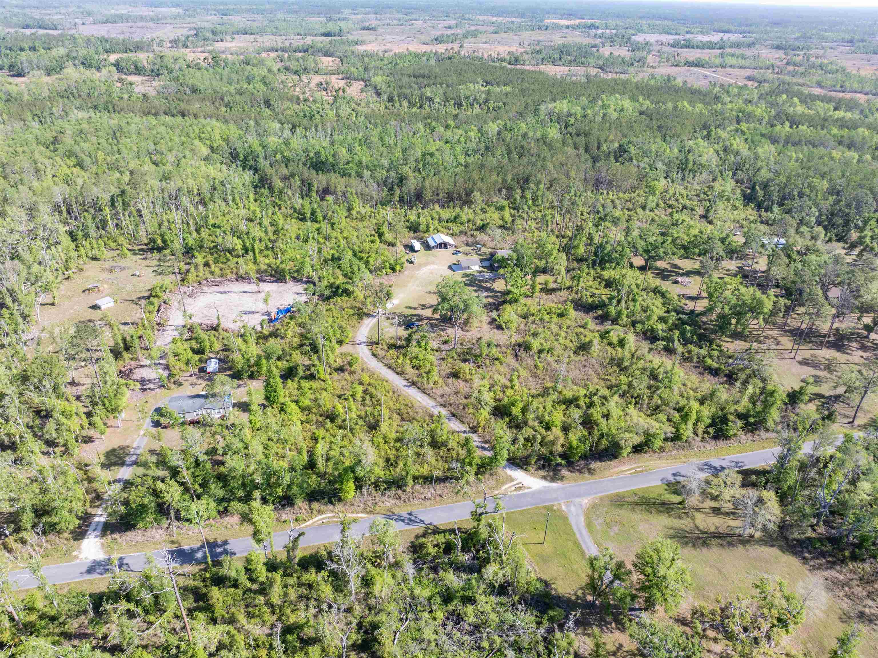 1020 Lyman Hendry Road Perry, FL 32347 - Photo 8 of 58