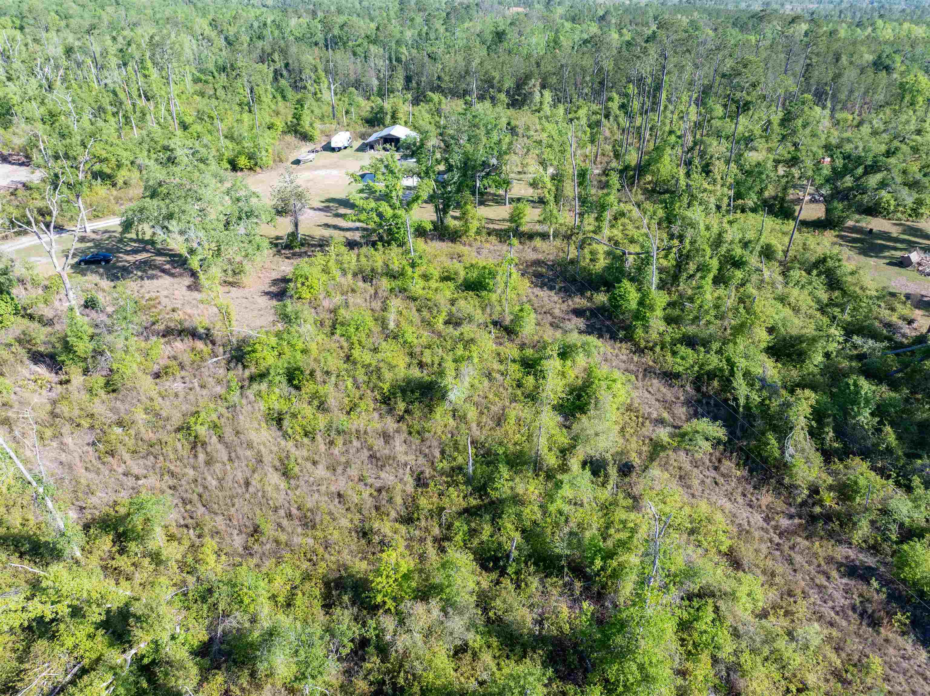 1020 Lyman Hendry Road Perry, FL 32347 - Photo 9 of 58