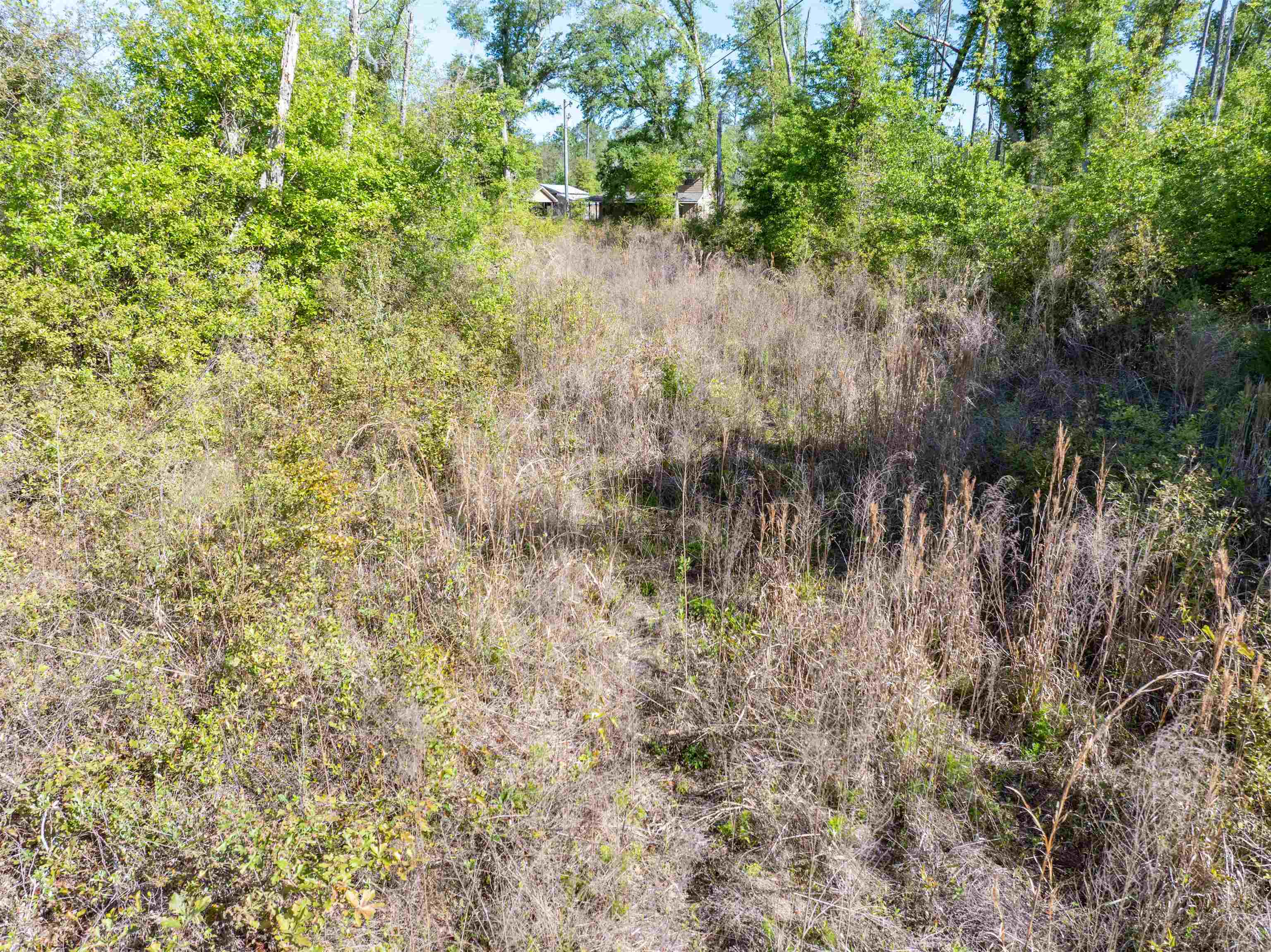 1020 Lyman Hendry Road Perry, FL 32347 - Photo 10 of 58