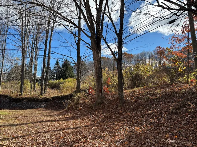 $259,000 | 1516 South Side Drive, Davenport, NY 13820