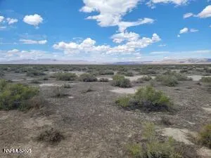 a view of a dry yard with trees