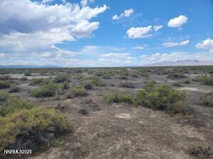 Apn Apn 74-431-51 Reno, NV 89510 - Photo 12 of 16 a view of a big yard with lots of green space