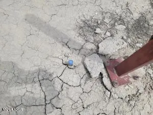a view of a dry field with lots of trees