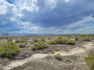 Apn Apn 74-431-51 Reno, NV 89510 - Photo 14 of 16 a view of a dry field with lots of trees