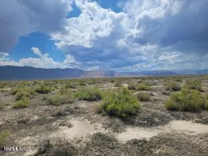 a view of a bunch of trees and houses