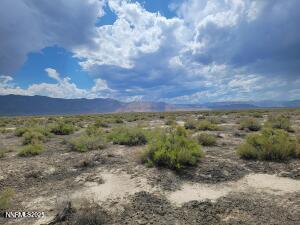 Apn Apn 74-431-51 Reno, NV 89510 - Photo 15 of 16 a view of a bunch of trees and houses
