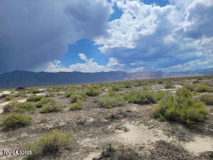 Apn Apn 74-431-51 Reno, NV 89510 - Photo 16 of 16 a view of a bunch of trees and houses