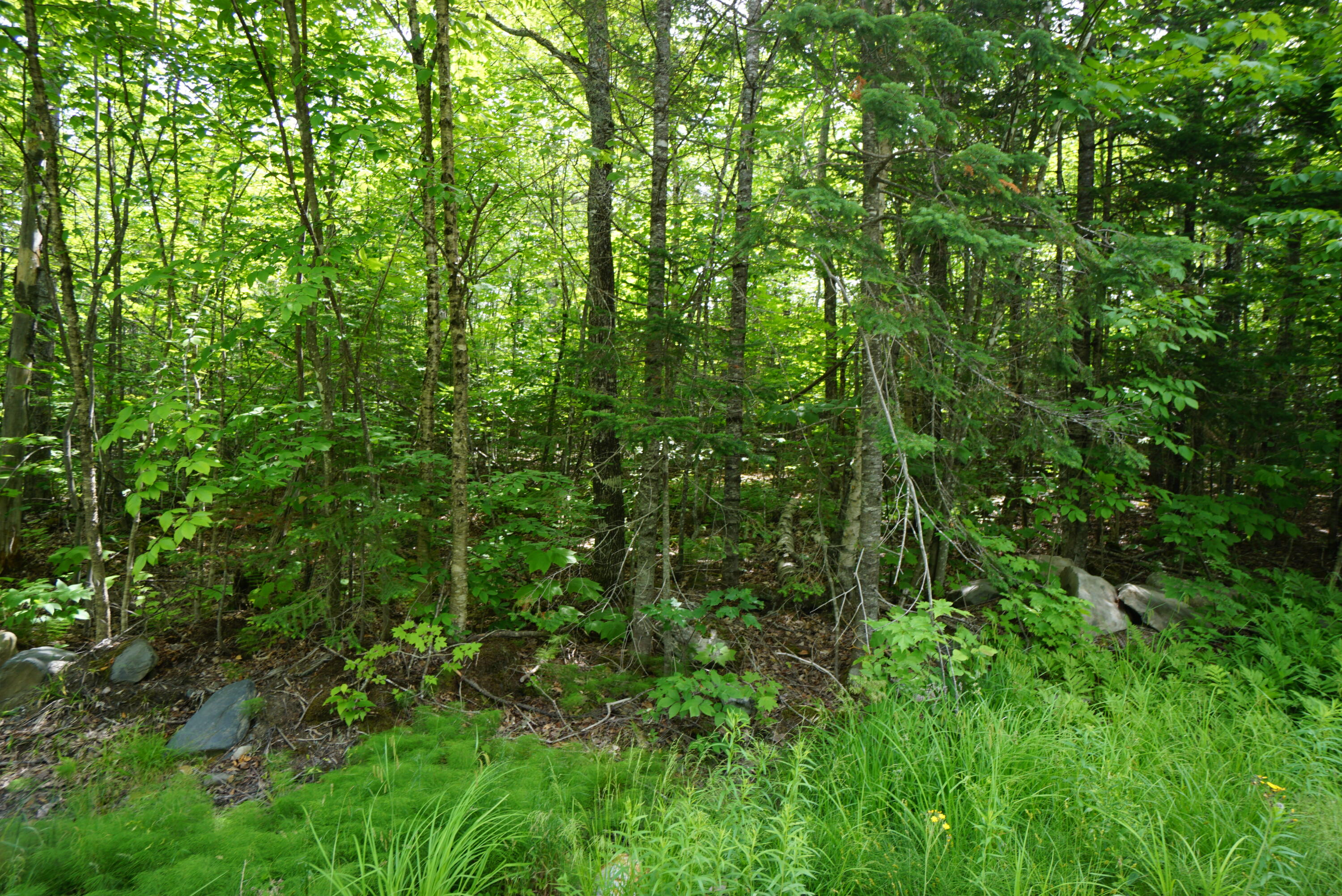 1 Rum Ridge Road Greenville, ME 04441 - Photo 3 of 3 0AE0511A-A1B3-41F8-9F76-9CCB61EE53BB