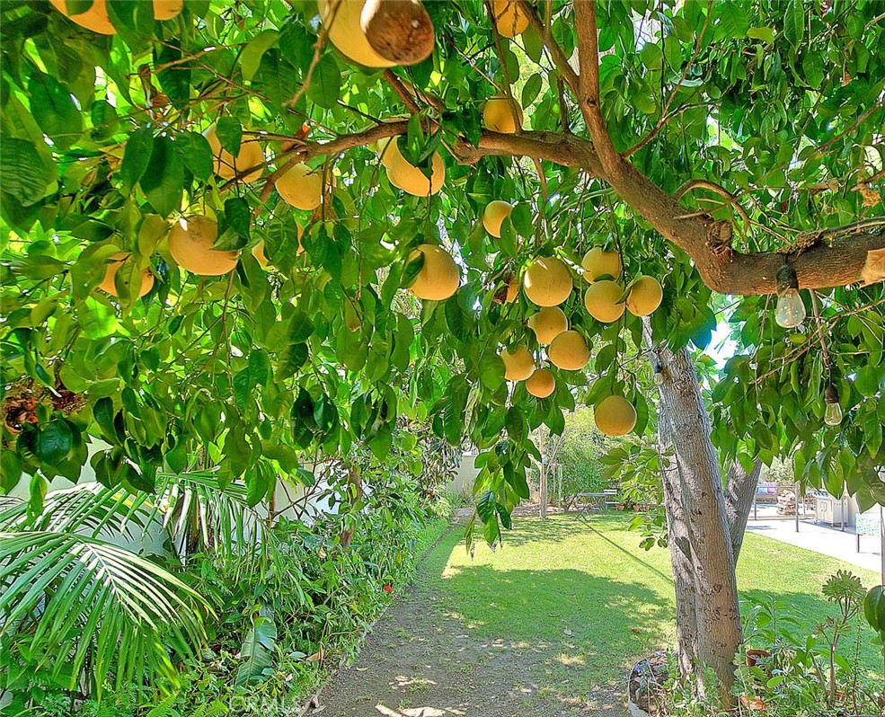 17860 East Laxford Road Azusa, CA 91702 - Photo 27 of 52 a backyard of a tree