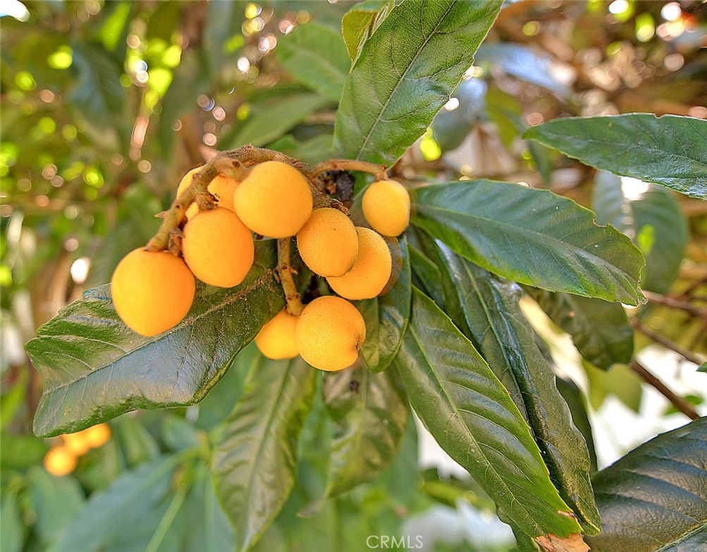 17860 East Laxford Road Azusa, CA 91702 - Photo 28 of 52 a view of a swimming pool
