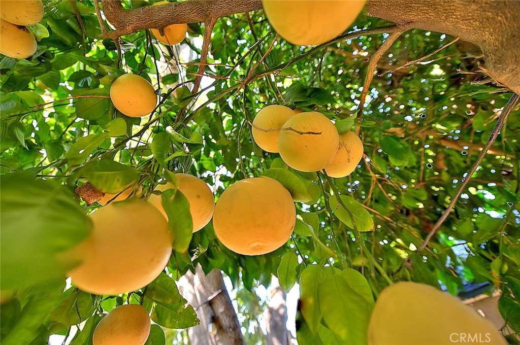 17860 East Laxford Road Azusa, CA 91702 - Photo 29 of 52