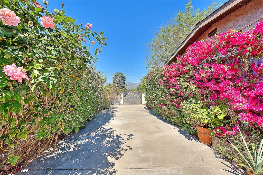 17860 East Laxford Road Azusa, CA 91702 - Photo 37 of 52 a picture of flowers