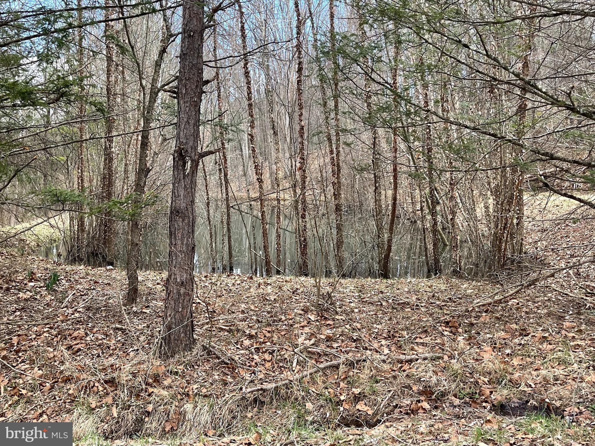 809 Duckwall Road Berkeley Springs, WV 25411 - Photo 64 of 69 Pond