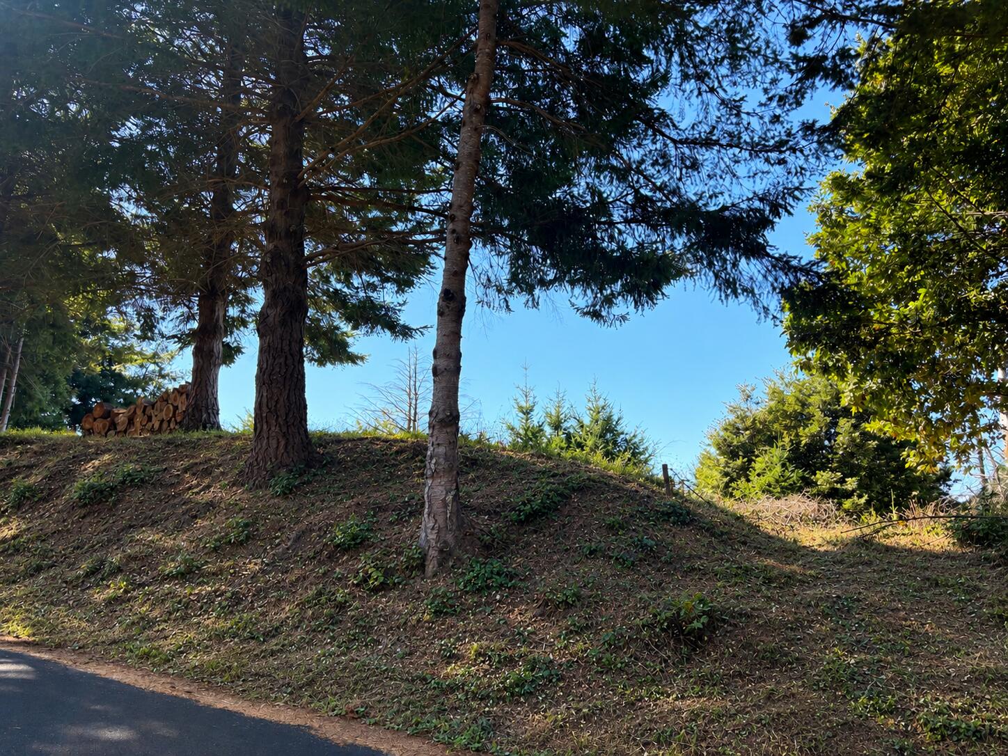 98 Ridge Road Shelter Cove, CA 95589 - Photo 3 of 3 Gallery Image 3