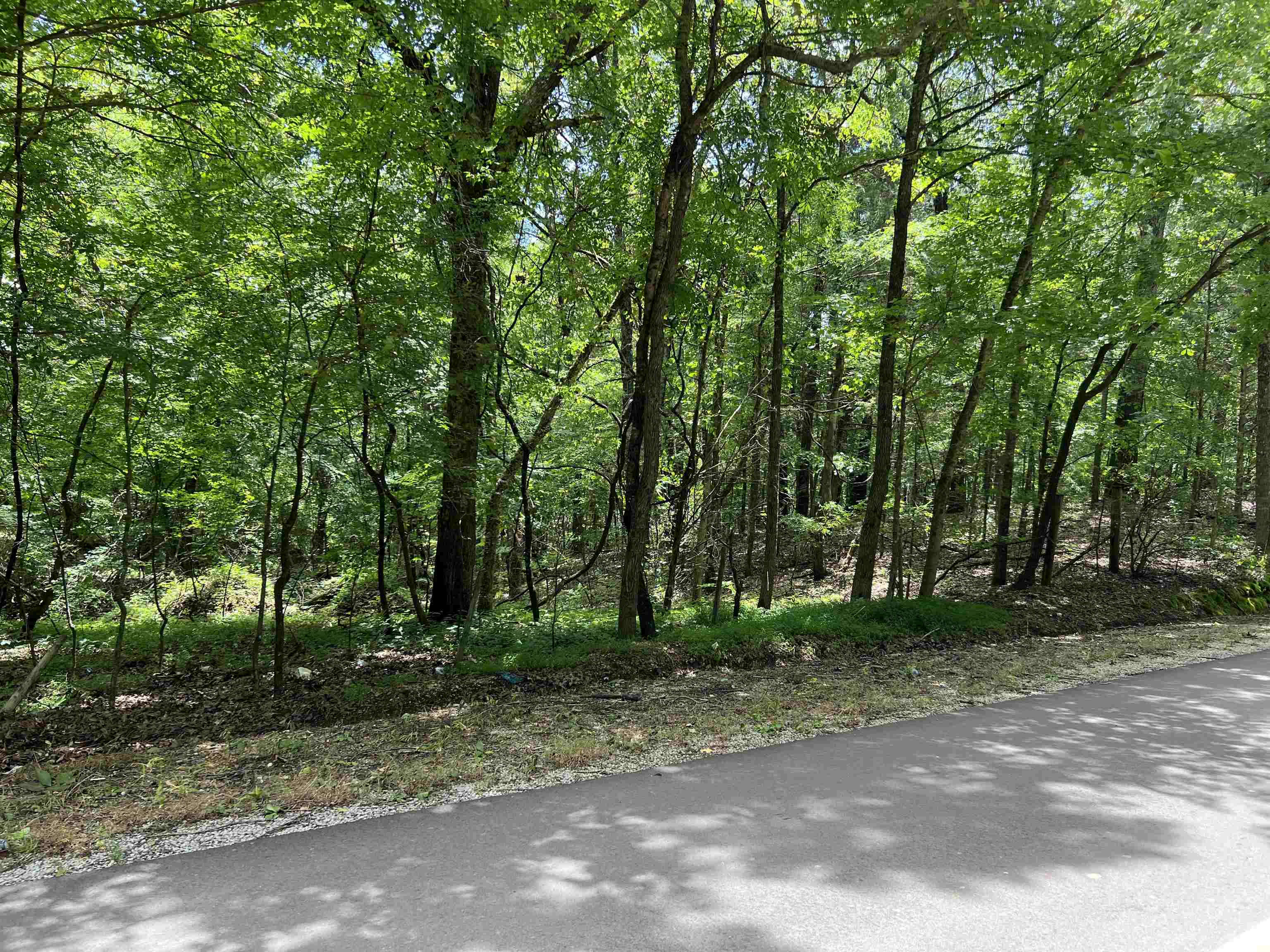 0 Wildcat Bottom Road Red Banks, MS 38661 - Photo 1 of 2