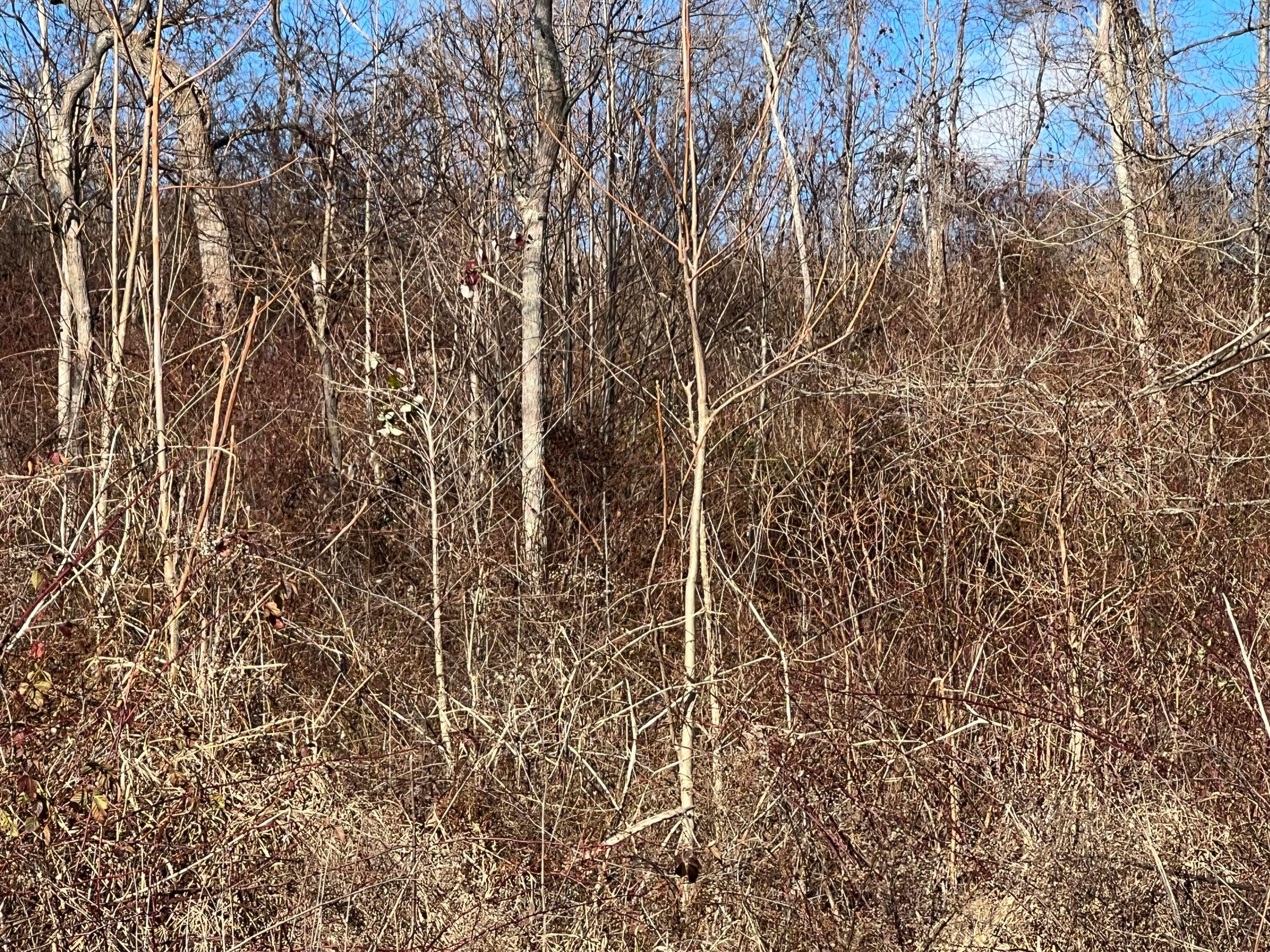 0 McGrath Road, Unit MCGRATH TRACT 8) Athens, OH 45701 - Photo 24 of 30 20240111_192503532_iOS