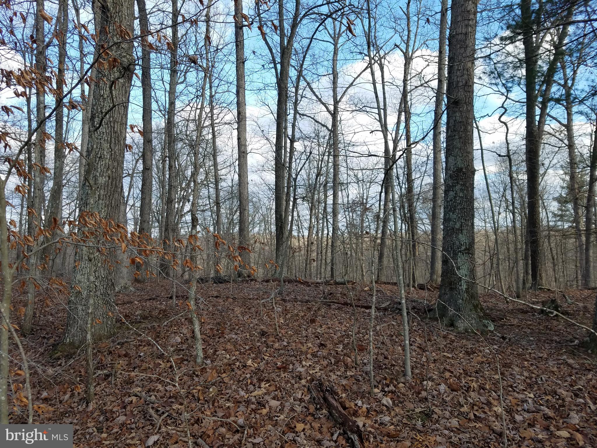 View to the east