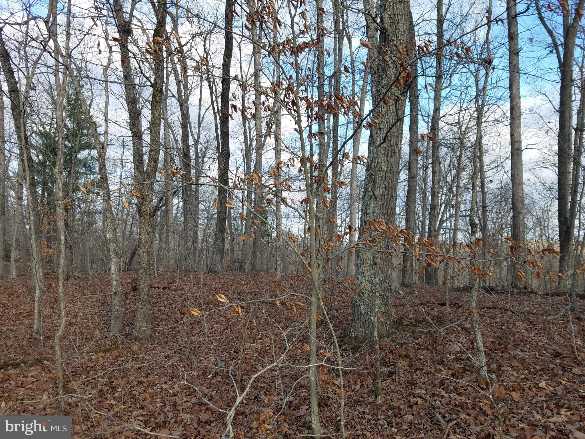 View to the east