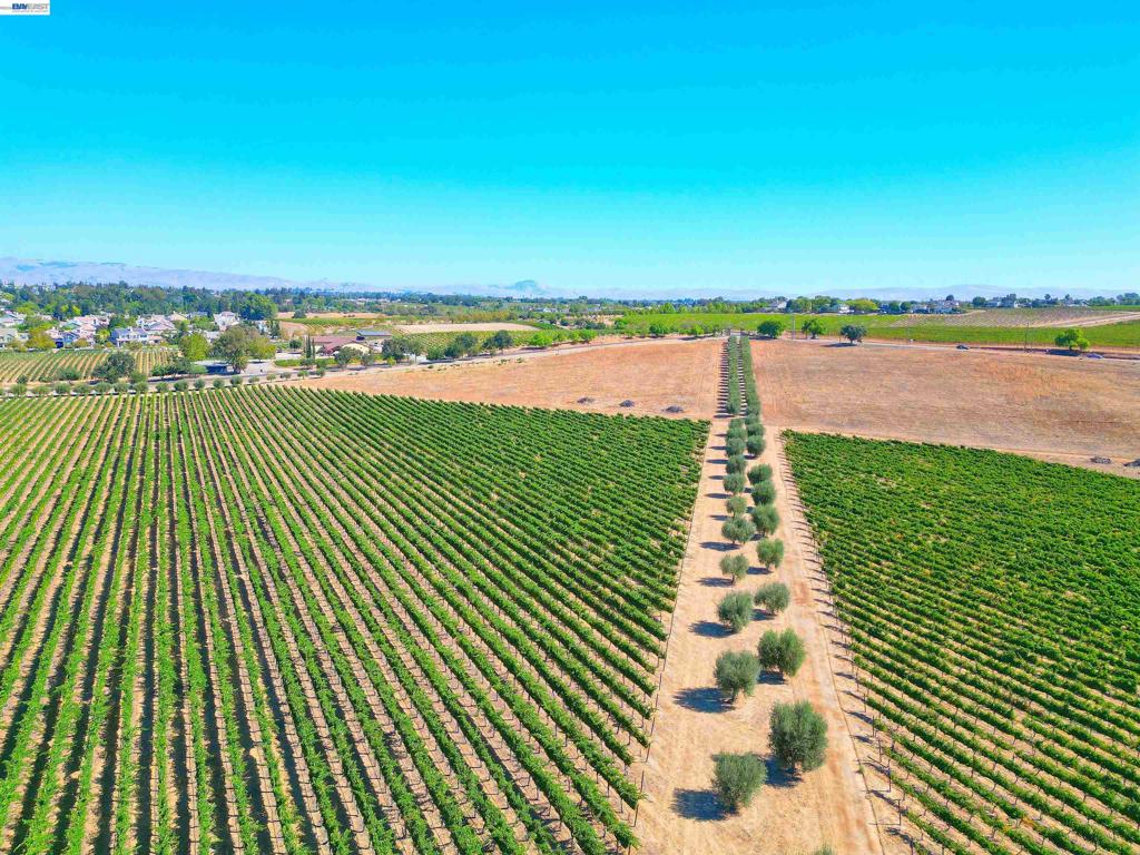 00 Arroyo Road Livermore, CA 94550 - Photo 8 of 31 Gallery Image 8