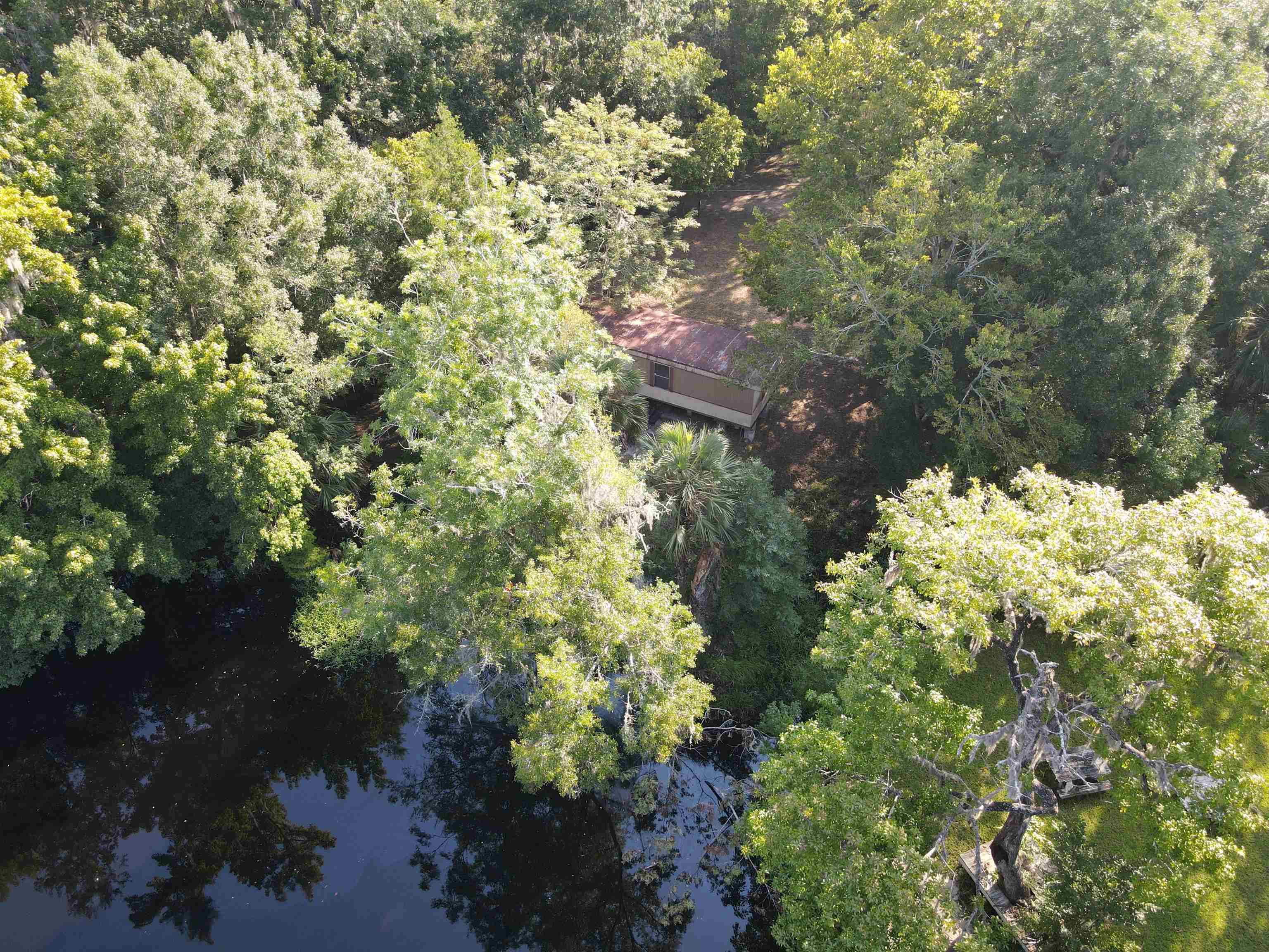 23210 Nutall Rise Road Lamont, FL 32336 - Photo 15 of 23