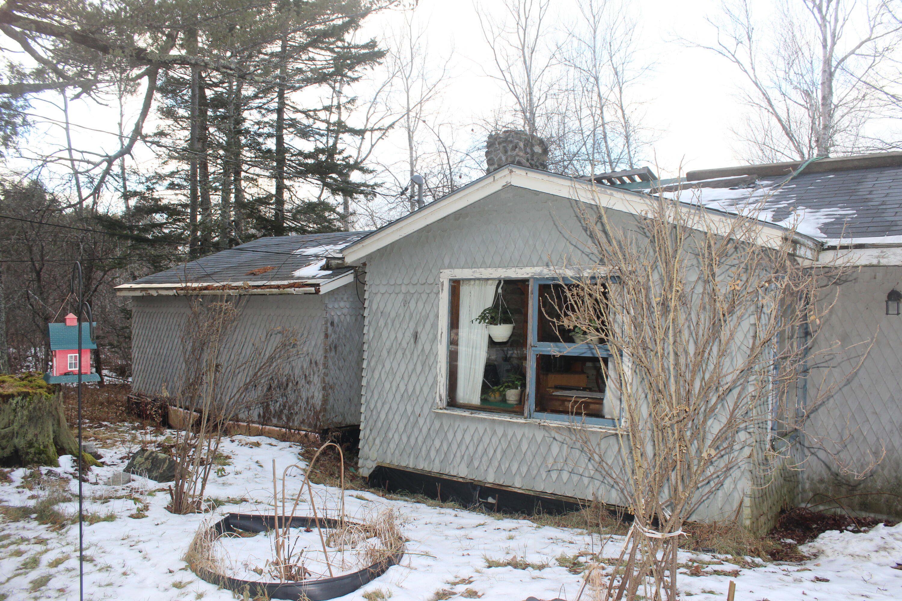 149 Little Falls Road Pembroke, ME 04666 - Photo 9 of 24 IMG_3751