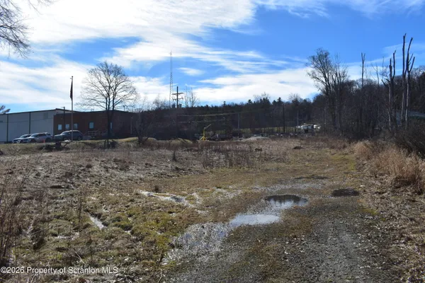 a view of a dry yard with trees