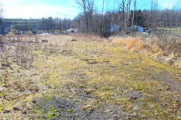 a view of a yard