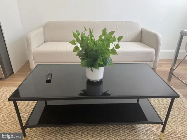 a living room with furniture and a potted plant